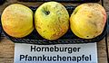 Horneburger Pfannkuchenapfel