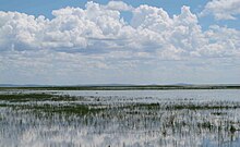 Panorama of the Dalai lake with reed beds HulunLake.jpg