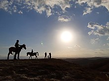 Atları tutan ve ata binen adamları gösteren arka ışık.