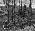 Thumbnail for File:In the Connecticut Hills MET ap14.70.jpg