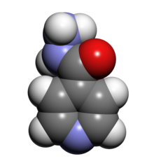 model molecular