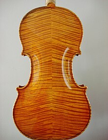 Backside view of a violin Italian Violin by Ansaldo Poggi, Bologna, Stradivari Model, Back.jpg