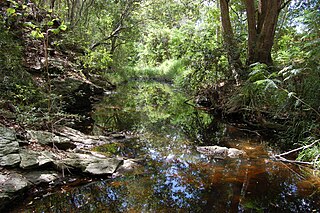 Ithaca Creek river in Australia