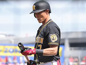 Hanshin Tigers Baseball