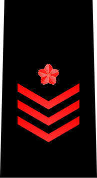 File:JMSDF Leading Seaman insignia (b).svg