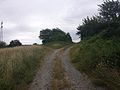 2016-07-12 11:42:30 File:Jakobsweg Main-Taubertal bei Tauberbischofsheim Laurentiusberg 5.jpg