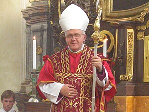 Obispo: Clases de obispos, Características, Iglesia católica