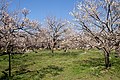 2019年3月10日 (日) 14:11時点における版のサムネイル