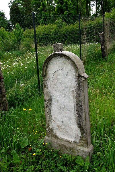 File:Kamienna Góra, cmentarz żydowski (Aw58)DSCF7706.jpg