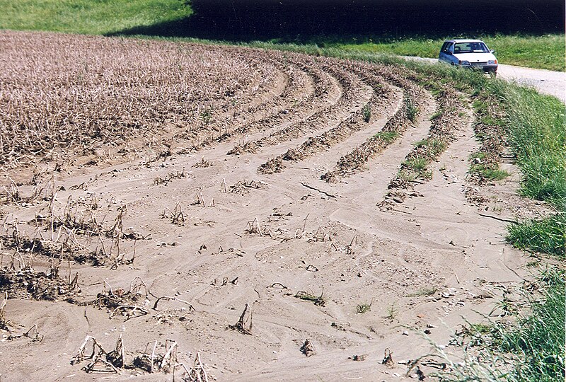 File:Kartoffeln Erosion005.jpg