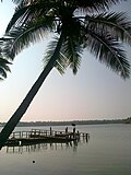 Thumbnail for Kavvayi Backwaters