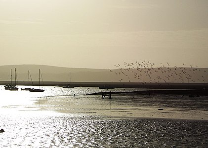 Winter sunshine at Keyhaven