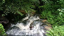 River in Kirchenkirnberg