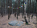 Čeština: Kamenné řady poblíž Kounova, okres Louny, SČ kraj - kámen Gibon. English: Kounov Stone Rows, Louny District, Central Bohemia, Czech Republic - a stone called Gibon.