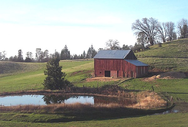 Image: L Starks Grade Barn