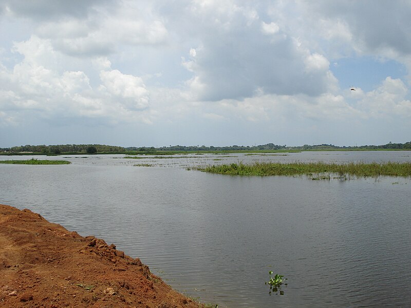 File:Laguna La Majahua 05.JPG