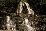 Thumbnail for Laurel Falls Trail