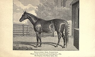 <span class="mw-page-title-main">Plaisanterie</span> French-bred Thoroughbred racehorse