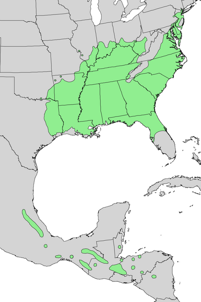 File:Liquidambar styraciflua range map 4.png