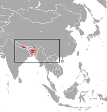 Küçük Nepal At Nalı Yarasa alanı.png