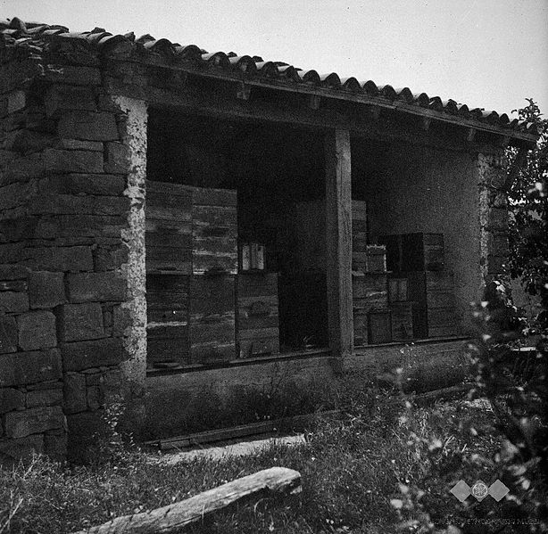 File:Lopa za čebele, Bernetiči 1950.jpg