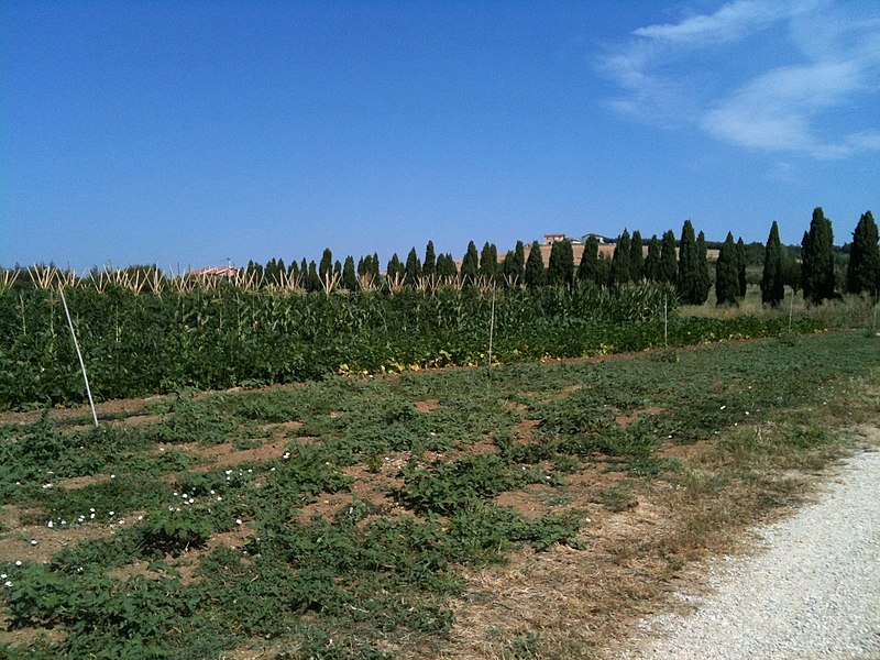 File:Loreto Apertino - panoramio.jpg