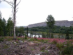 Mörttjärnen med Björkdalsgruvan i bakgrunden.