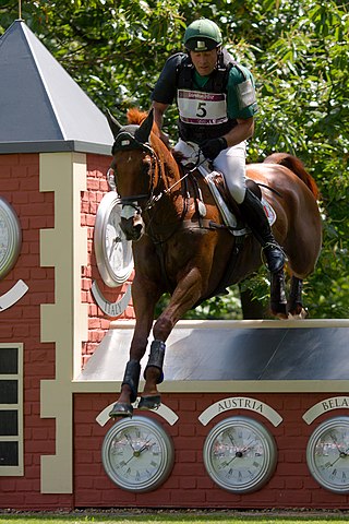 <span class="mw-page-title-main">Michael Ryan (equestrian)</span> Irish equestrian