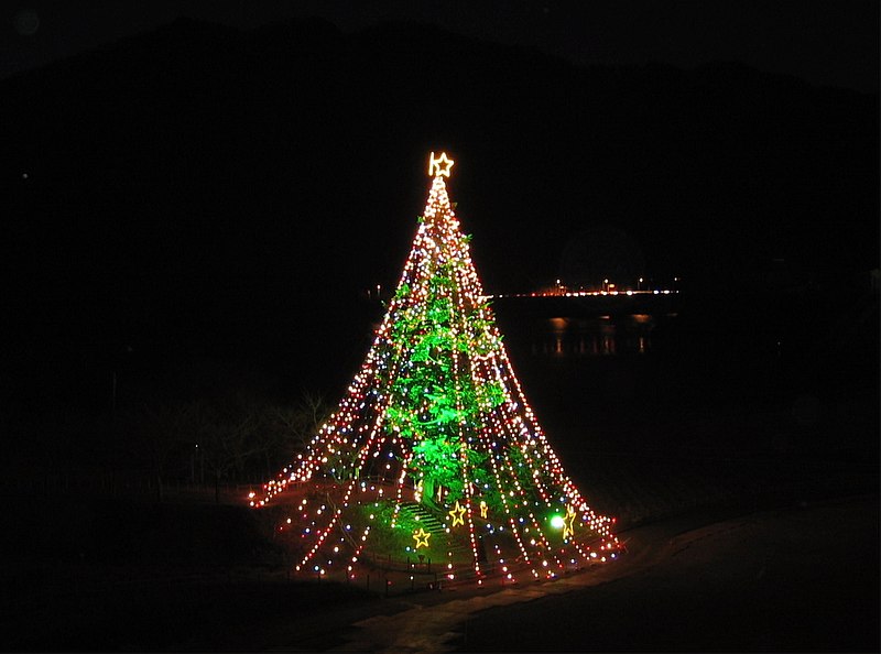 File:Miyagase tree.JPG