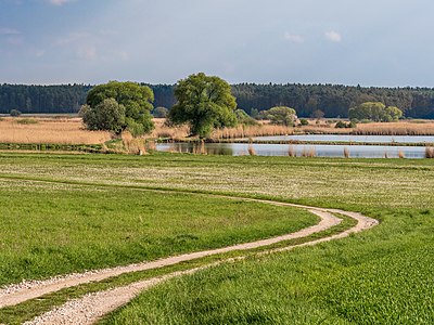 Mohrhof Weihergebiet.