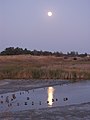 Moon River Sept 14, 2008 - panoramio.jpg