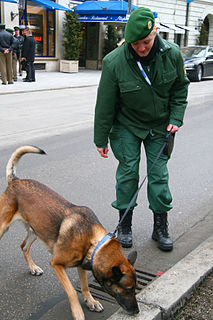 Ein Spürhund ist ein Hund, de