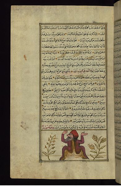 File:Muhammad ibn Muhammad Shakir Ruzmah-'i Nathani - A Half-human, Half-frog Creature - Walters W659166A - Full Page.jpg