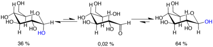 Mutarotation:
d-glucose molecules exist as cyclic hemiacetals that are epimeric (= diastereomeric) to each other. The epimeric ratio a:b is 36:64. In the a-D-glucopyranose (left), the blue-labelled hydroxy group is in the axial position at the anomeric centre, whereas in the b-D-glucopyranose (right) the blue-labelled hydroxy group is in equatorial position at the anomeric centre. Mutarotation D-Glucose V.1.png