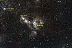 NGC 1955 миниатюра