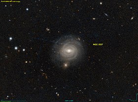 NGC 3537 PanS.jpg