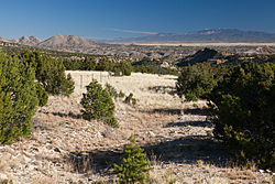 NM Route 14, Looking North (5350113906).jpg