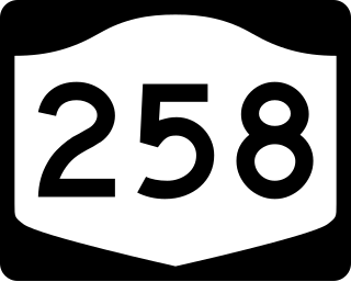 <span class="mw-page-title-main">New York State Route 258</span> State highway in Livingston County, New York, US