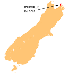 Plik:NZ-D'Urville_I.png