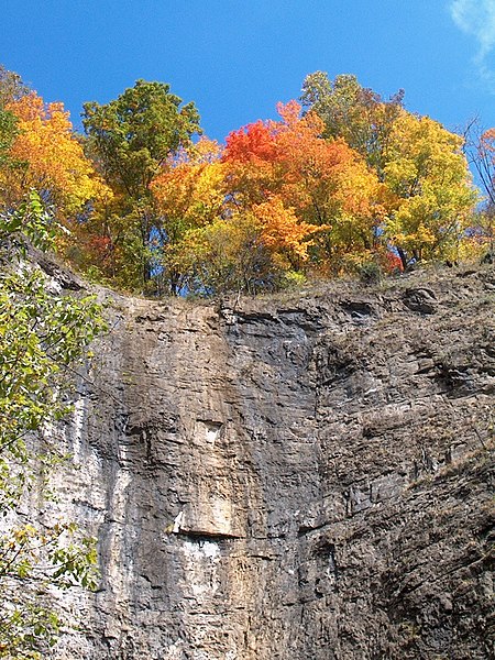 Fall foliage at Natural Tunnel State Park in Scott County