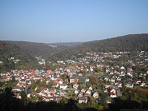 Blick von der Minneburg über Neckargerach