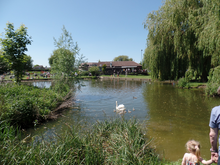 The boating pond at St Neots