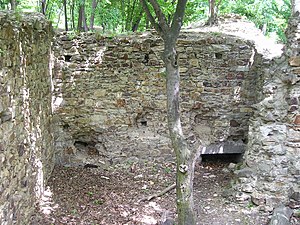 Rovine del castello di Venceslao (2004)