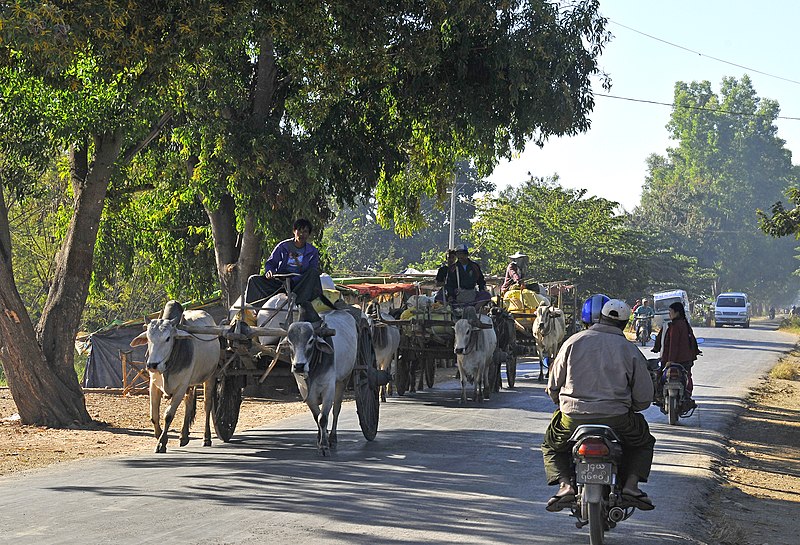 File:Nyaung Shwe, carretas 1.jpg