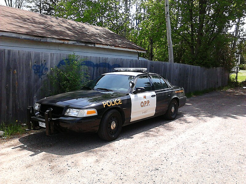 File:OPP cruiser.jpg