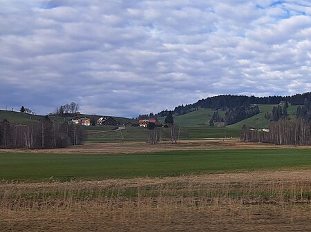 Oberstaufen Sinswang Sinswanger Moor (2)