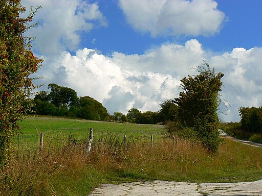 Odstone Hill from D'Arcy Dalton Way, Ashbury - geograph.org.uk - 2570104