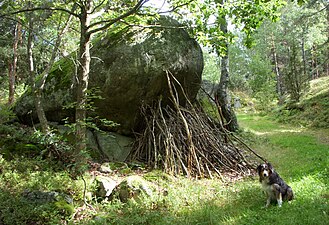 Stöttestenen med offerkast av torra grenar vid Stensättra gård, Huddinge kommun.
