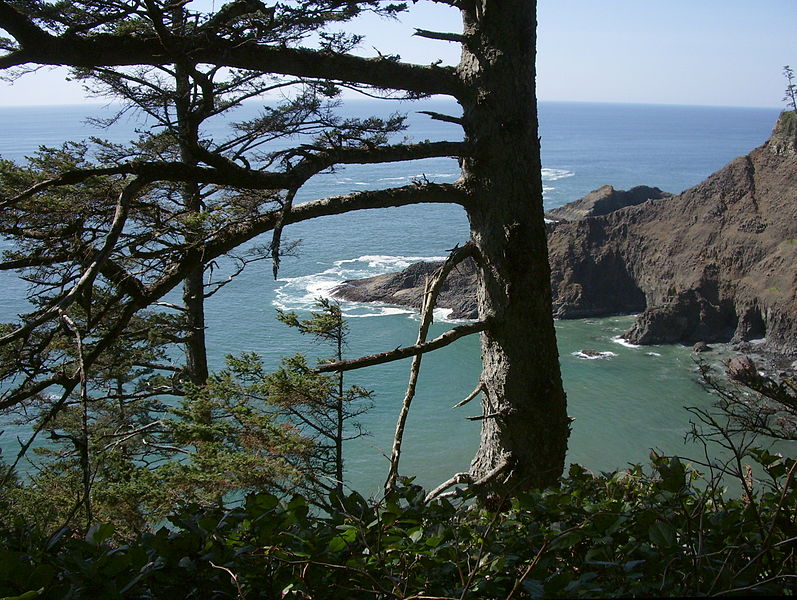 File:Oregon coast trail north cape falcon P2529.jpeg