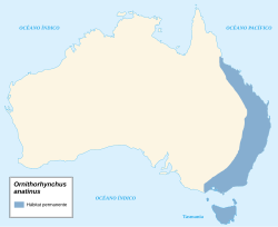 alt=Área de distribución.[1]​ Sinonimia Platypus anatinus Shaw, 1799 O. novaehollandiae Lacépède, 1800 O. paradoxus Blumenbach, 1800 O. fuscus Péron, 1807 O. rufus Péron, 1807 O. crispus Macgillivray, 1827 O. laevis Macgillivray, 1827 O. brevirostris Ogilby, 1832 O. anatinus phoxinus Thomas, 1923 O. anatinus triton Thomas, 1923 Fuente: Australian Faunal Directory[3]​